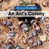 Cover image of An ant's colony