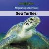 Cover image of Sea turtles