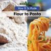 Cover image of Flour to pasta