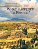 Cover image of What happened to Pompeii?