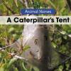 Cover image of A caterpillar's tent