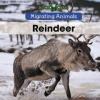 Cover image of Reindeer