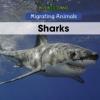Cover image of Sharks