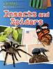 Cover image of Insects and spiders