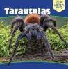 Cover image of Tarantulas