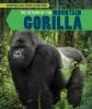 Cover image of The return of the mountain gorilla