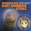 Cover image of Mongooses dart, cobras strike