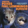 Cover image of Arctic foxes pounce, lemmings burrow