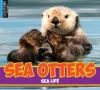 Cover image of Sea otters