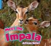Cover image of Meet the impala