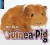 Cover image of Guinea pig