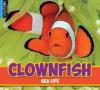 Cover image of Clownfish