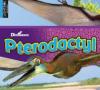 Cover image of Pterodactyl