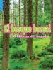 Cover image of Los bosques boreales