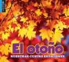 Cover image of El oto?o