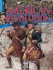 Cover image of American Revolution