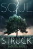 Cover image of Soulstruck