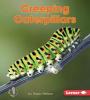Cover image of Creeping caterpillars