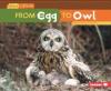 Cover image of From egg to owl