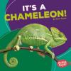 Cover image of It's a chameleon!