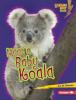Cover image of Meet a baby koala