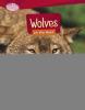 Cover image of Wolves on the hunt