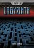 Cover image of Labyrinth