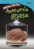 Cover image of Anatom?a gruesa