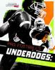 Cover image of Pro football's underdogs