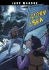 Cover image of Storm on the sea