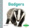 Cover image of Badgers