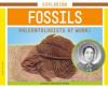 Cover image of Exploring fossils