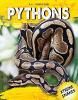 Cover image of Pythons