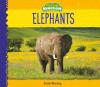 Cover image of Elephants