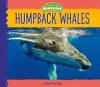 Cover image of Humpback whales
