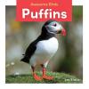 Cover image of Puffins