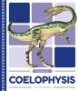 Cover image of Coelophysis