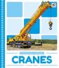 Cover image of Cranes