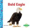 Cover image of Bald eagle