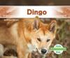 Cover image of Dingo