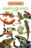 Cover image of Amphibians