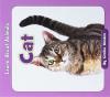 Cover image of Cat