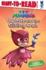 Cover image of Owlette and the giving owl