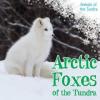 Cover image of Arctic foxes of the tundra