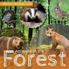 Cover image of Animals in the forest