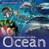 Cover image of Animals in the ocean