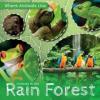Cover image of Animals in the rain forest