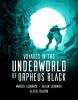 Cover image of Voyages in the underworld of Orpheus Black