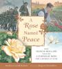 Cover image of A rose named Peace