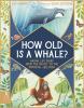 Cover image of How old is a whale?